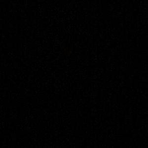 Meet your Posher, Larry